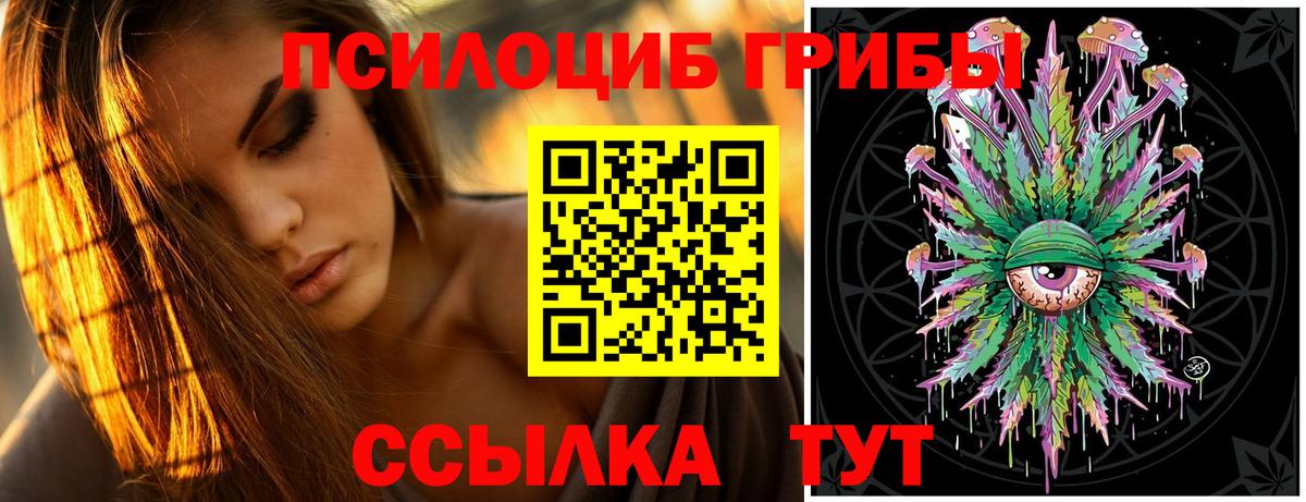 Галлюциногенные грибы MAGIC MUSHROOMS  Галлюциногенные грибы Cubensis  цена   Ефремов  Вход с VPN 
