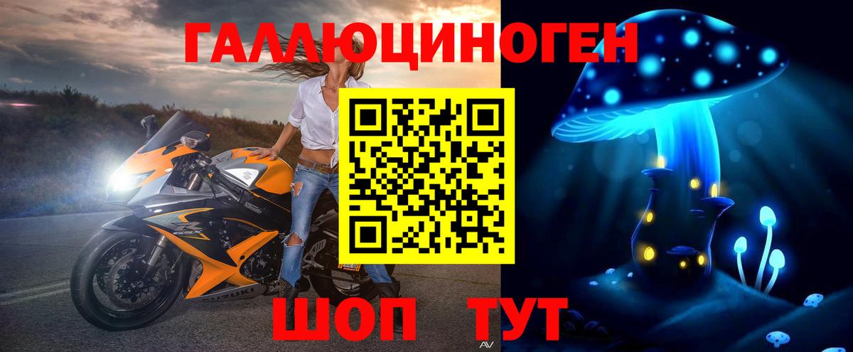 Псилоцибиновые грибы Psilocybe Ефремов